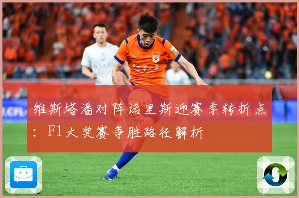 维斯塔潘对阵诺里斯迎赛季转折点：F1大奖赛争胜路径解析